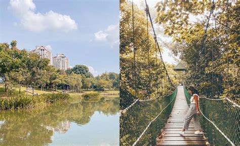 哪個公園現在好玩：從多維度看城市綠肺的新穎玩法